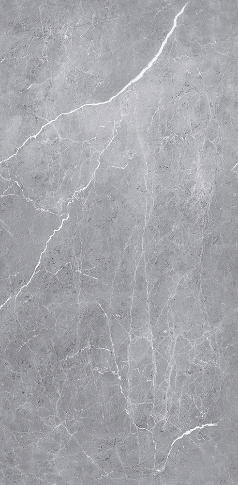 ALUCOM Aluverbundplatte 1500x3050mm, Aragon Silber
